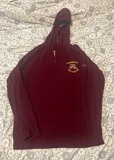 Men’s university of Minnesota hooded long sleeve thin sweatshirt size XL excellent condition Photo 0