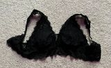 Black Lace Bralette Photo 0