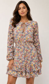 Zara Pink Blue Floral Ruffle Mini Dress Long Sleeve Smocked Tiered‎ Boho Travel Photo 0
