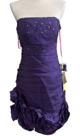 Cinderella Divine Purple‎ Strapless Embellished Ruffle Party Dress Size M NWT Photo 0
