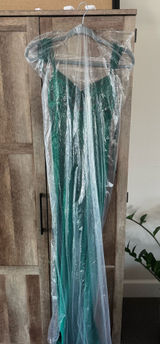 Green Prom Dress- Brand Amarra- Original Price is $800 Photo 0