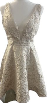 Coya Collection Cream & Gold Metallic Brocade Coquette Mini Dress Photo 0
