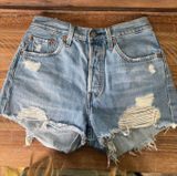 Levi’s Shorts Photo 0