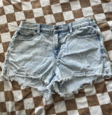 Aerie Shorts Photo 0