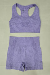 Gymshark Seamless Purple Sports Bra & High-Waist Shorts Set Size S Photo 0