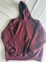aritzia gala plum mega fit hoodie Photo 0