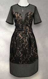 ELLIATT Velosity Midi Cocktail Dress Women's XS Black Neutral Lace Mesh Evening Photo 0