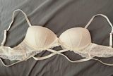 Push-up Bra Photo 0