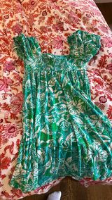 Lily Pulitzer Lilly Dress Photo 0