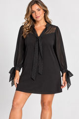 Zara Black Swiss Dot Mesh Tie Neck Mini Dress Long Sleeve Large Parisian Chic Photo 0