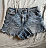 American Eagle Shorts Denim Photo 0