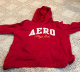 Aeropostale vintage hoodie Photo 0