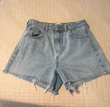 Urban Outfitters Shorts BDG Photo 0