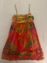 Delicate Fruit Dress Photo 0