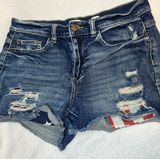 Flag Denim Flag Jean Shorts! Photo 0