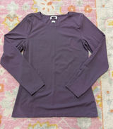 Aritzia Original Contour Splendid Crew Longsleeve  Photo 0
