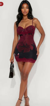 Courtney Mesh Lace Mini Dress Photo 0