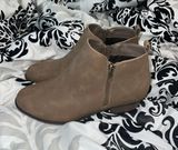 Pierre Dumas Brown Booties Photo 0