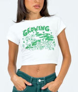 Princess Polly Size 8 Baby Tee Shirt Growing Plants Graphic Kelly Green Herb Photo 0