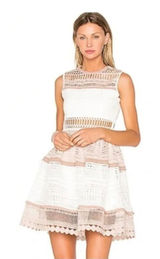 Alexis Embroidered Lace Melania sleeveless fit flare mini Dress White & Beige S Photo 0