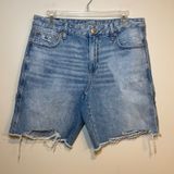 American Eagle Jean‎ Shorts Jorts Low Rise Baggy Carpenter Blue Denim Size 6 Photo 0