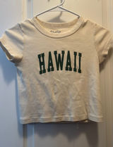 John Galt Top Brandy Melville Crop Photo 0