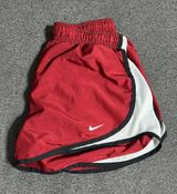 Dri-Fit Shorts Photo 0