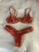 Blackbough Bikini Photo 0