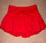 Gold Hinge Skirt Photo 0
