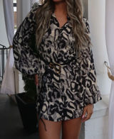 Cheetah Dress Multiple Size M Photo 0