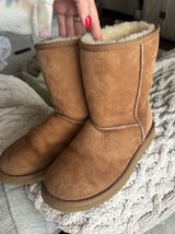 Chestnut Ugg Austrailia Classic Boots Photo 0