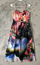Corey Lynn Calter Watercolor Floral Scenic Midi Dress‎ Artistic Garden Party 6 Photo 0