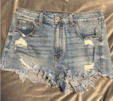 Eunina Distressed Jean Shorts Photo 0