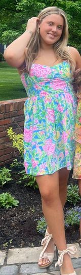 Lily Pulitzer Dress Photo 0