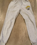 Champion UW-Milwaukee Panthers Joggers Heather Gray Sweatpants Womens Small Photo 0
