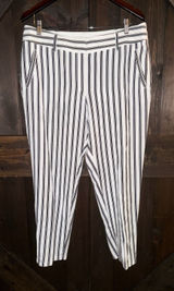 Ann Taylor Loft Striped‎ Summer Pants in Marisa Fit Sz 10 Jasmine Color Photo 0