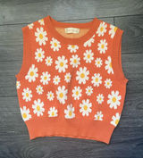 Altar'd State Sweater Vest Cropped Photo 0