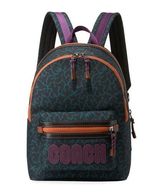 Men’s Backpacks Photo 0