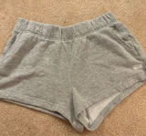 North Face Sweat Shorts Photo 0