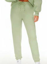TNA Aritzia Women Sage Green Cozy Fleece Perfect Fit Jogger Sweatpants Size S Photo 0