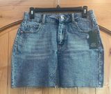 Jean Skirt Photo 0