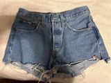 Levi’s Denim Shorts Photo 0