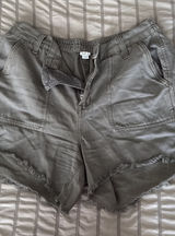 Aerie Shorts Photo 0