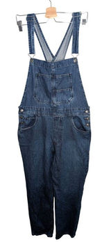 We The Free by Free People Womens Ziggy Relaxed Denim Overalls Size Large Photo 0