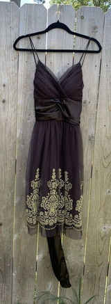 A.P.N.Y. Women's Brown Empire Waist Brown Gold Size 12 Fall‎ Mesh Satin Fairy Photo 0