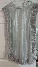 TCEC silver dress Photo 0