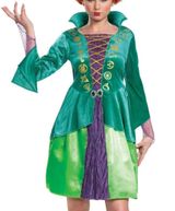 Disney Hocus Pocus Wini Sanderson Classic Halloween Dress Up Costume Women’s Photo 0