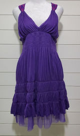 Free People Purple Tiered 100% Viscose Sleeveless Empire Waist‎ Knit Top Size M Photo 0