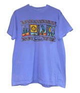 Vintage Y2K Sedona Arizona Single Stitch T Shirt Large Sun Moon Kokopelli ~Flaw Photo 0