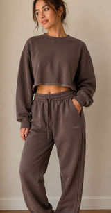 SET Aritzia Tna Cropped Perfect Fit Crewneck and Boyfriend Fit Joggers Photo 0